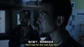 狗咬狗在线观看,一场残酷的生存较量  第1张